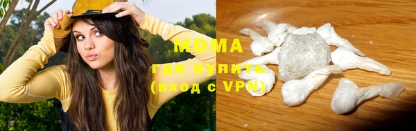 шишки Абаза