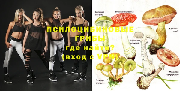 тгк Россошь