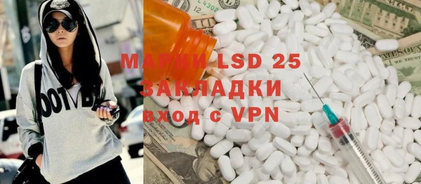 шишки Абаза