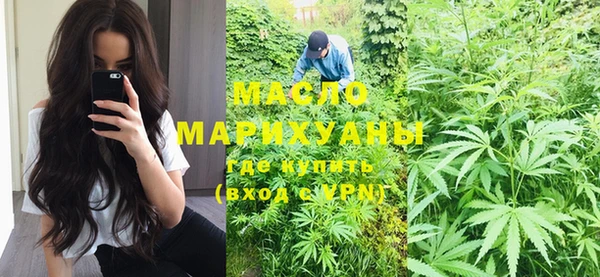 шишки Абаза